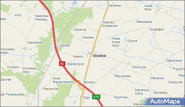 mapa Strzelce powiat kutnowski, Strzelce powiat kutnowski na mapie Targeo