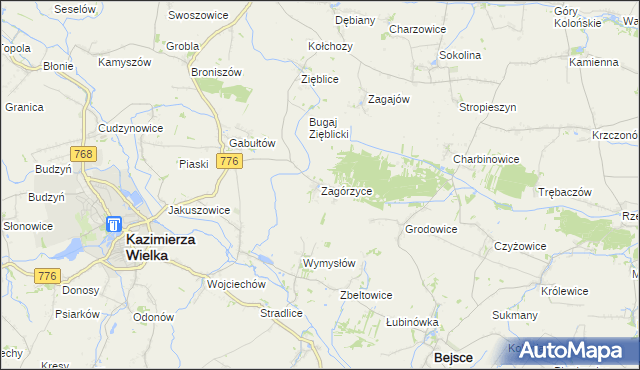 mapa Zagórzyce gmina Kazimierza Wielka, Zagórzyce gmina Kazimierza Wielka na mapie Targeo