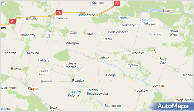 mapa Sieńsko, Sieńsko na mapie Targeo