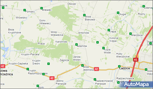 mapa Adamów gmina Ładzice, Adamów gmina Ładzice na mapie Targeo