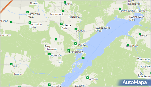 mapa Adamów gmina Wolbórz, Adamów gmina Wolbórz na mapie Targeo