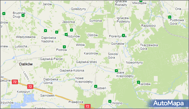 mapa Anastazew gmina Parzęczew, Anastazew gmina Parzęczew na mapie Targeo