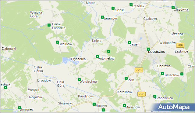 mapa Antonielów gmina Łopuszno, Antonielów gmina Łopuszno na mapie Targeo