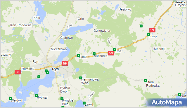 mapa Bachorza gmina Ryn, Bachorza gmina Ryn na mapie Targeo