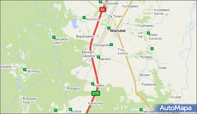 mapa Bąkowo gmina Warlubie, Bąkowo gmina Warlubie na mapie Targeo