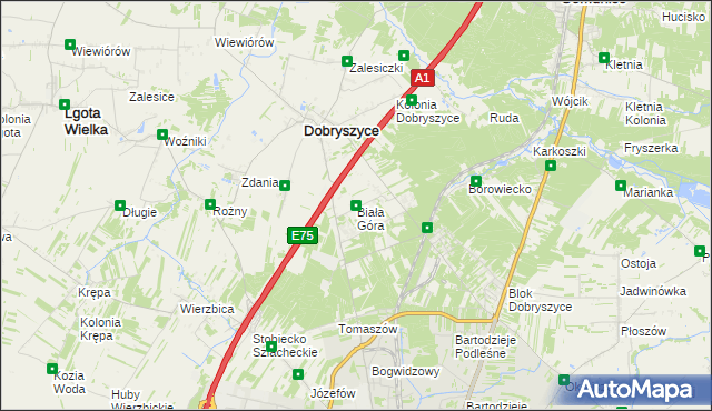 mapa Biała Góra gmina Dobryszyce, Biała Góra gmina Dobryszyce na mapie Targeo