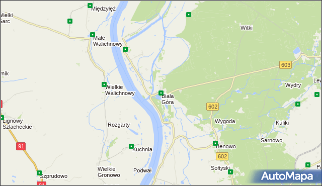 mapa Biała Góra gmina Sztum, Biała Góra gmina Sztum na mapie Targeo