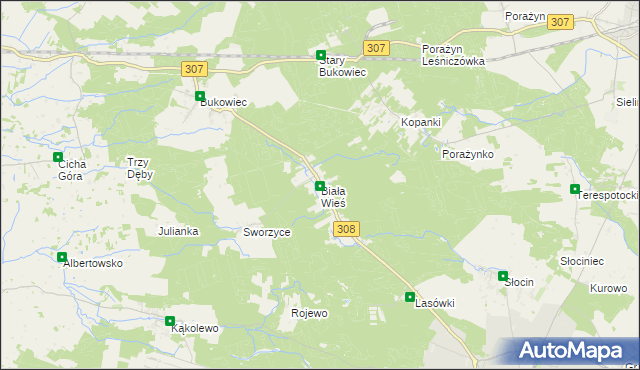 mapa Biała Wieś gmina Grodzisk Wielkopolski, Biała Wieś gmina Grodzisk Wielkopolski na mapie Targeo