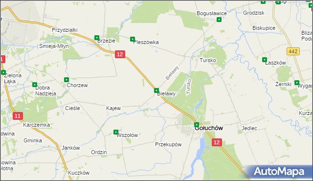 mapa Bielawy gmina Gołuchów, Bielawy gmina Gołuchów na mapie Targeo