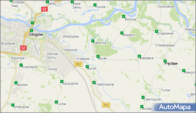 mapa Borek gmina Głogów, Borek gmina Głogów na mapie Targeo