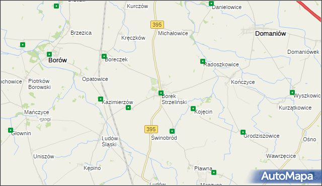 mapa Borek Strzeliński, Borek Strzeliński na mapie Targeo