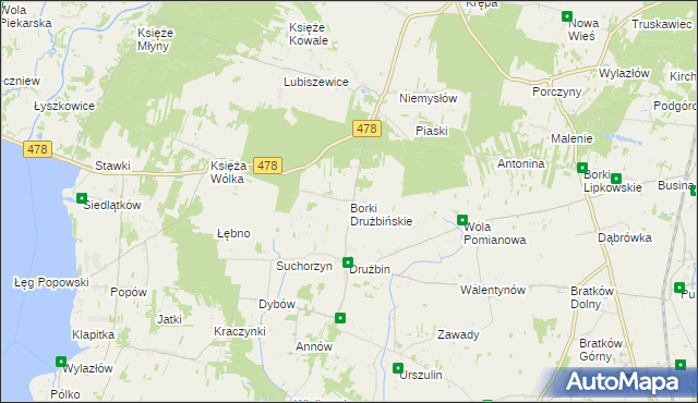 mapa Borki Drużbińskie, Borki Drużbińskie na mapie Targeo