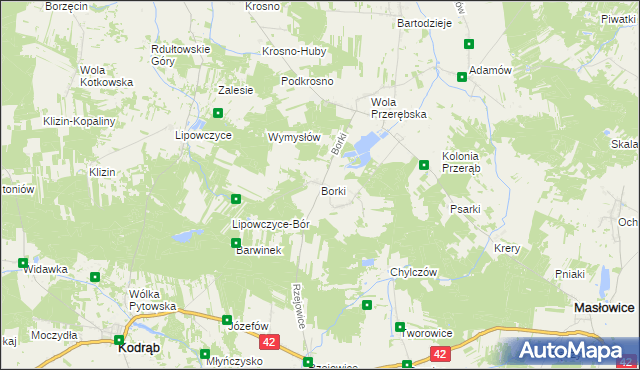 mapa Borki gmina Masłowice, Borki gmina Masłowice na mapie Targeo