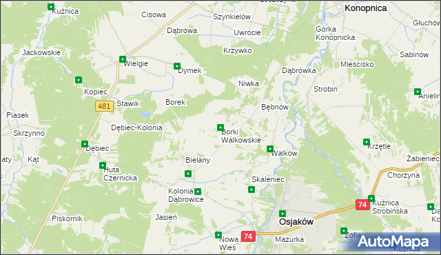 mapa Borki Walkowskie, Borki Walkowskie na mapie Targeo