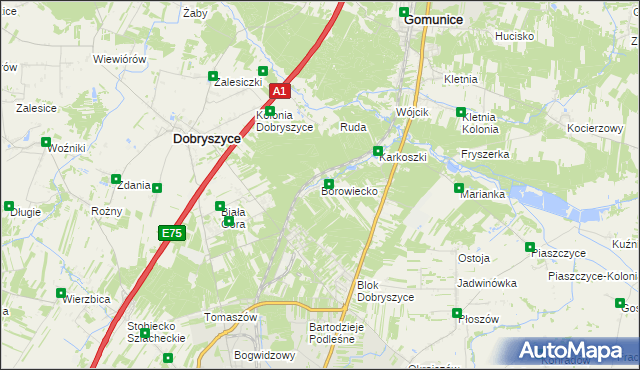 mapa Borowiecko, Borowiecko na mapie Targeo