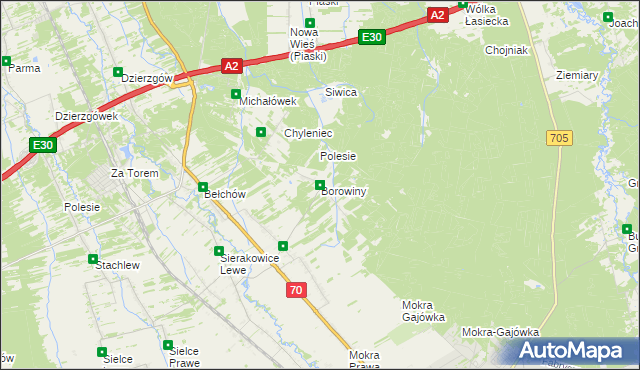 mapa Borowiny gmina Skierniewice, Borowiny gmina Skierniewice na mapie Targeo