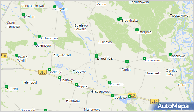 mapa Brodnica powiat śremski, Brodnica powiat śremski na mapie Targeo