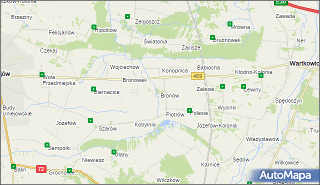 mapa Bronów gmina Wartkowice, Bronów gmina Wartkowice na mapie Targeo