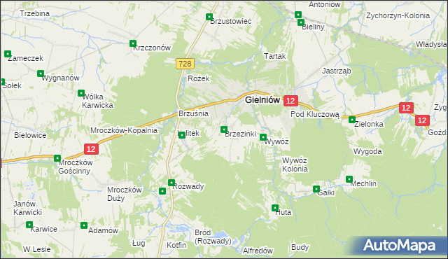 mapa Brzezinki gmina Gielniów, Brzezinki gmina Gielniów na mapie Targeo