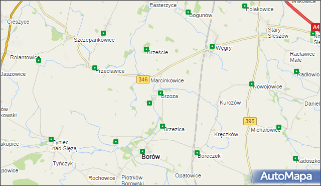 mapa Brzoza gmina Borów, Brzoza gmina Borów na mapie Targeo