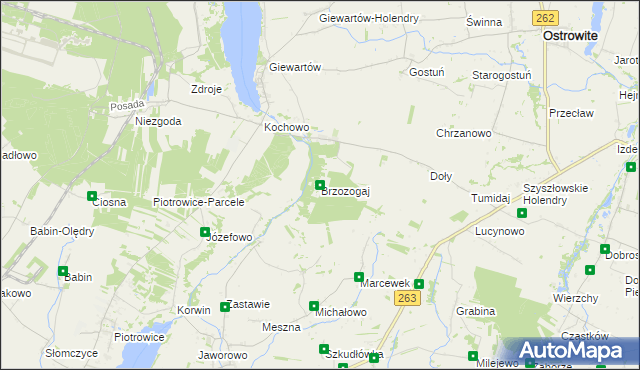 mapa Brzozogaj gmina Ostrowite, Brzozogaj gmina Ostrowite na mapie Targeo