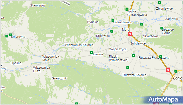 mapa Bukowa gmina Osiek, Bukowa gmina Osiek na mapie Targeo