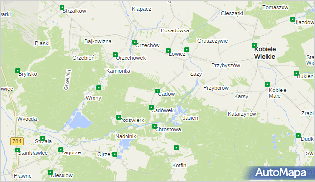 mapa Cadów, Cadów na mapie Targeo