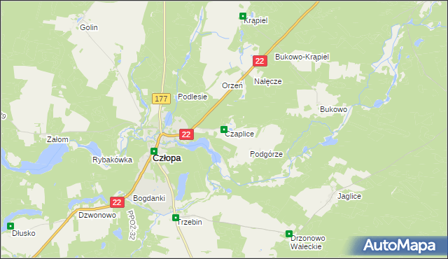 mapa Czaplice gmina Człopa, Czaplice gmina Człopa na mapie Targeo