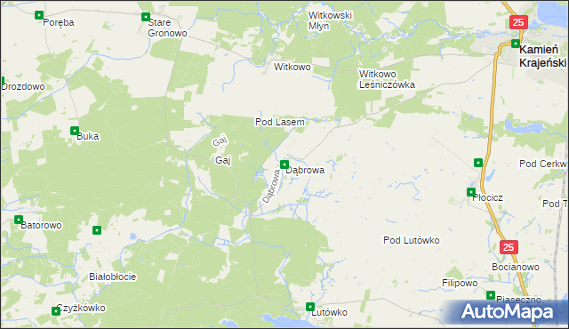 mapa Dąbrowa gmina Kamień Krajeński, Dąbrowa gmina Kamień Krajeński na mapie Targeo