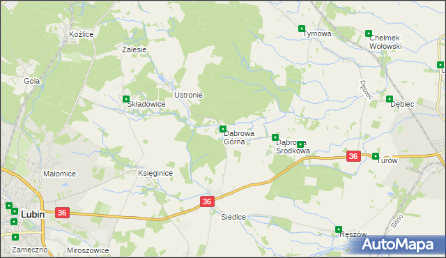 mapa Dąbrowa Górna gmina Lubin, Dąbrowa Górna gmina Lubin na mapie Targeo