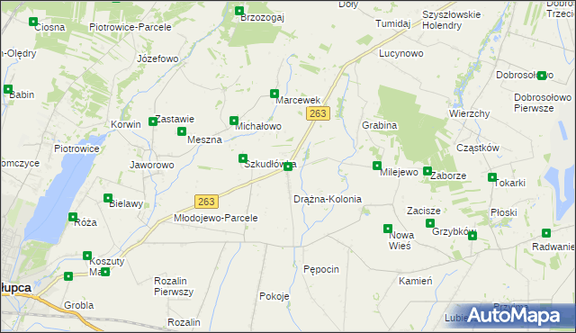 mapa Drążna, Drążna na mapie Targeo