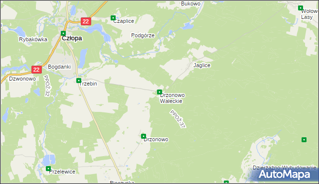 mapa Drzonowo Wałeckie, Drzonowo Wałeckie na mapie Targeo