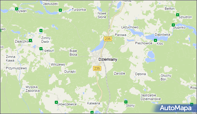 mapa Dziemiany, Dziemiany na mapie Targeo