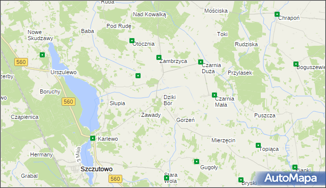 mapa Dziki Bór, Dziki Bór na mapie Targeo