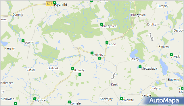 mapa Dziśnity gmina Rychliki, Dziśnity gmina Rychliki na mapie Targeo