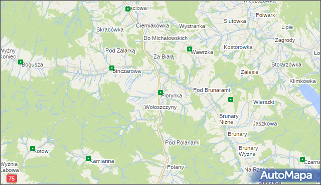 mapa Florynka, Florynka na mapie Targeo