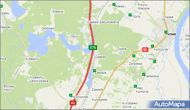 mapa Gajewo gmina Nowe, Gajewo gmina Nowe na mapie Targeo