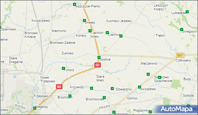 mapa Goślice, Goślice na mapie Targeo