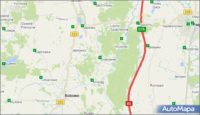 mapa Grabowiec gmina Bobowo, Grabowiec gmina Bobowo na mapie Targeo