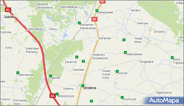 mapa Holendry Strzeleckie, Holendry Strzeleckie na mapie Targeo