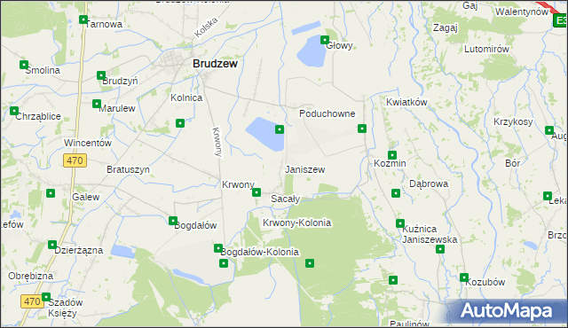 mapa Janiszew gmina Brudzew, Janiszew gmina Brudzew na mapie Targeo