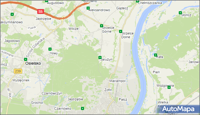 mapa Jarużyn gmina Osielsko, Jarużyn gmina Osielsko na mapie Targeo