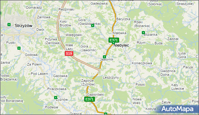 mapa Jawornik gmina Niebylec, Jawornik gmina Niebylec na mapie Targeo