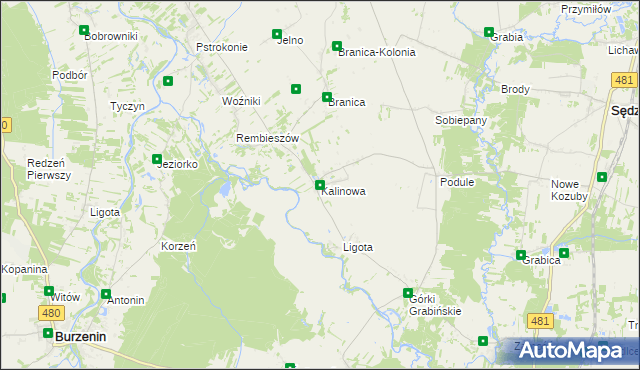 mapa Kalinowa gmina Zapolice, Kalinowa gmina Zapolice na mapie Targeo