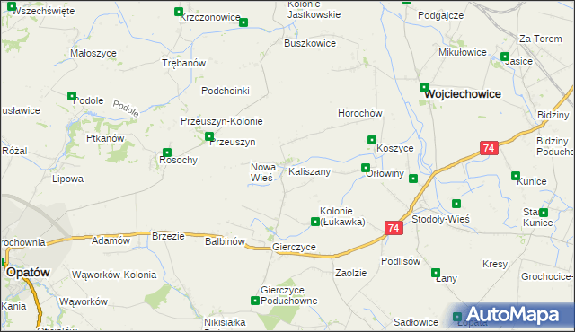 mapa Kaliszany gmina Wojciechowice, Kaliszany gmina Wojciechowice na mapie Targeo