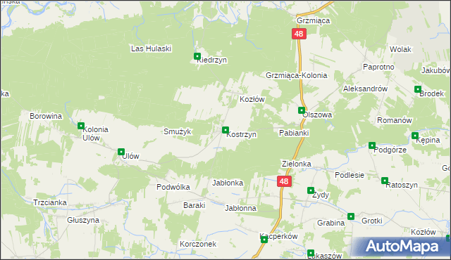 mapa Kostrzyn gmina Wyśmierzyce, Kostrzyn gmina Wyśmierzyce na mapie Targeo