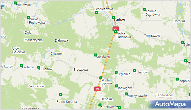 mapa Kozłówek gmina Tarłów, Kozłówek gmina Tarłów na mapie Targeo