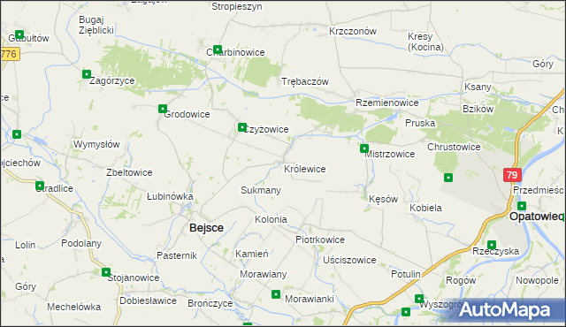 mapa Królewice gmina Bejsce, Królewice gmina Bejsce na mapie Targeo