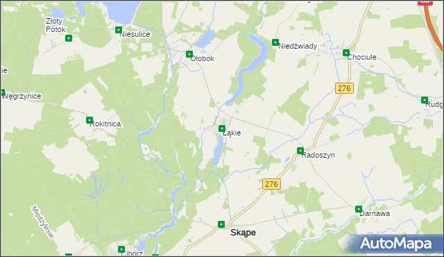 mapa Łąkie gmina Skąpe, Łąkie gmina Skąpe na mapie Targeo