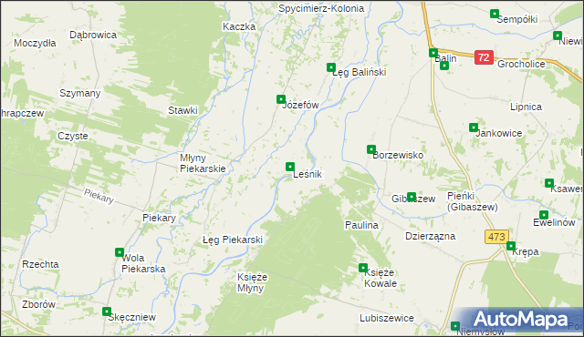 mapa Leśnik gmina Poddębice, Leśnik gmina Poddębice na mapie Targeo